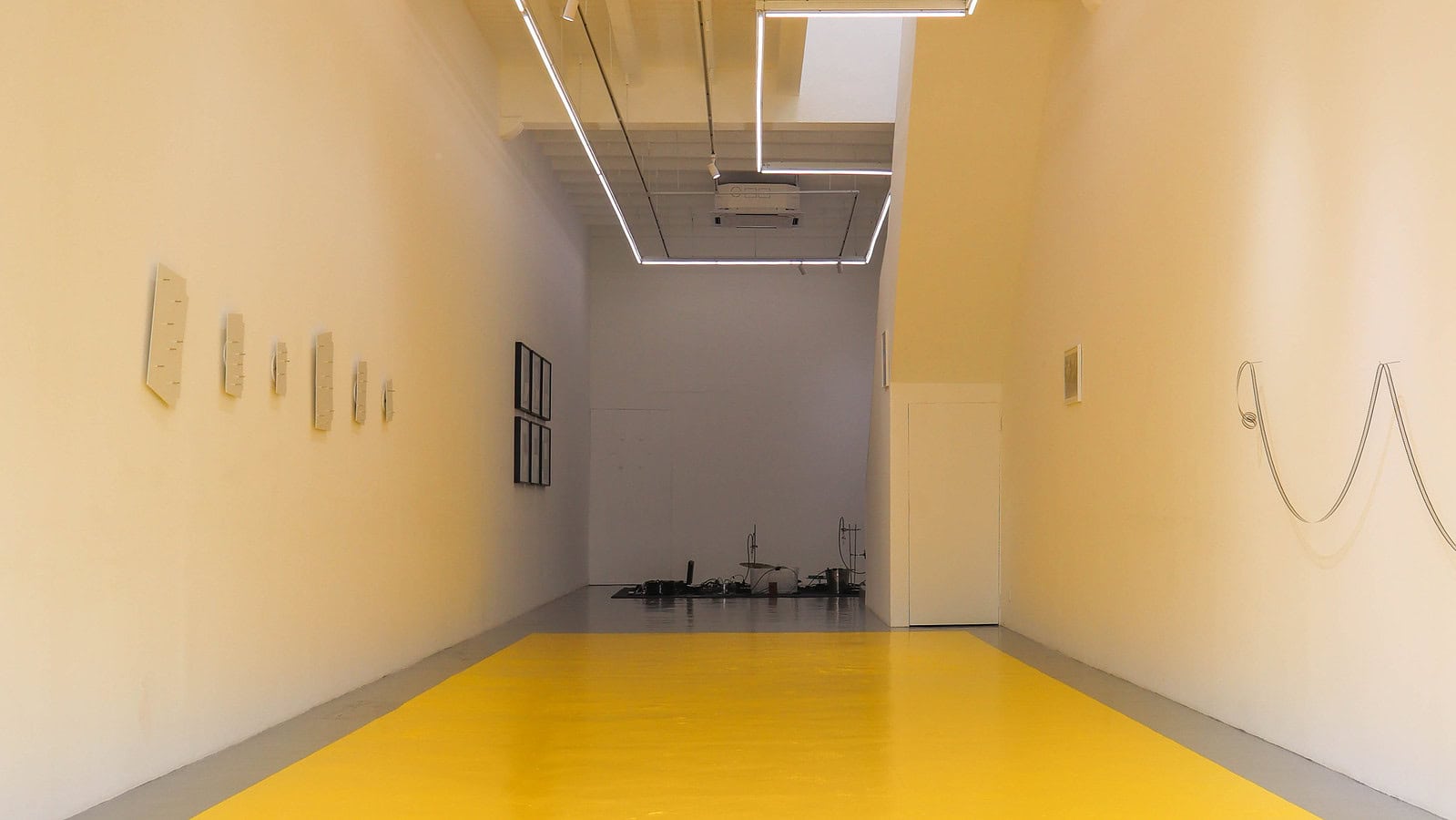 why i collect installation-3