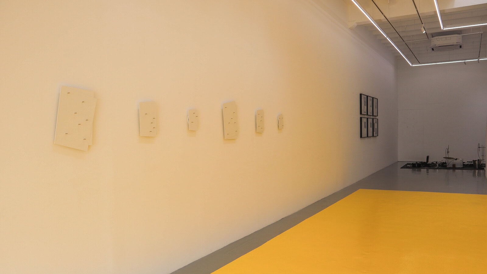 why i collect installation-4