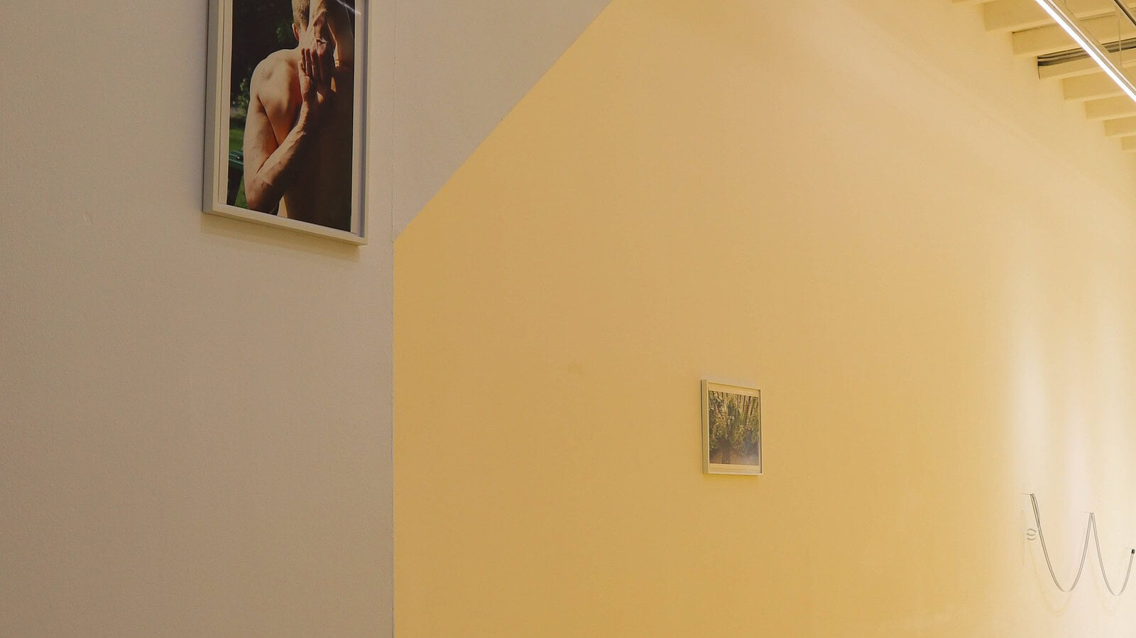 why i collect installation-6