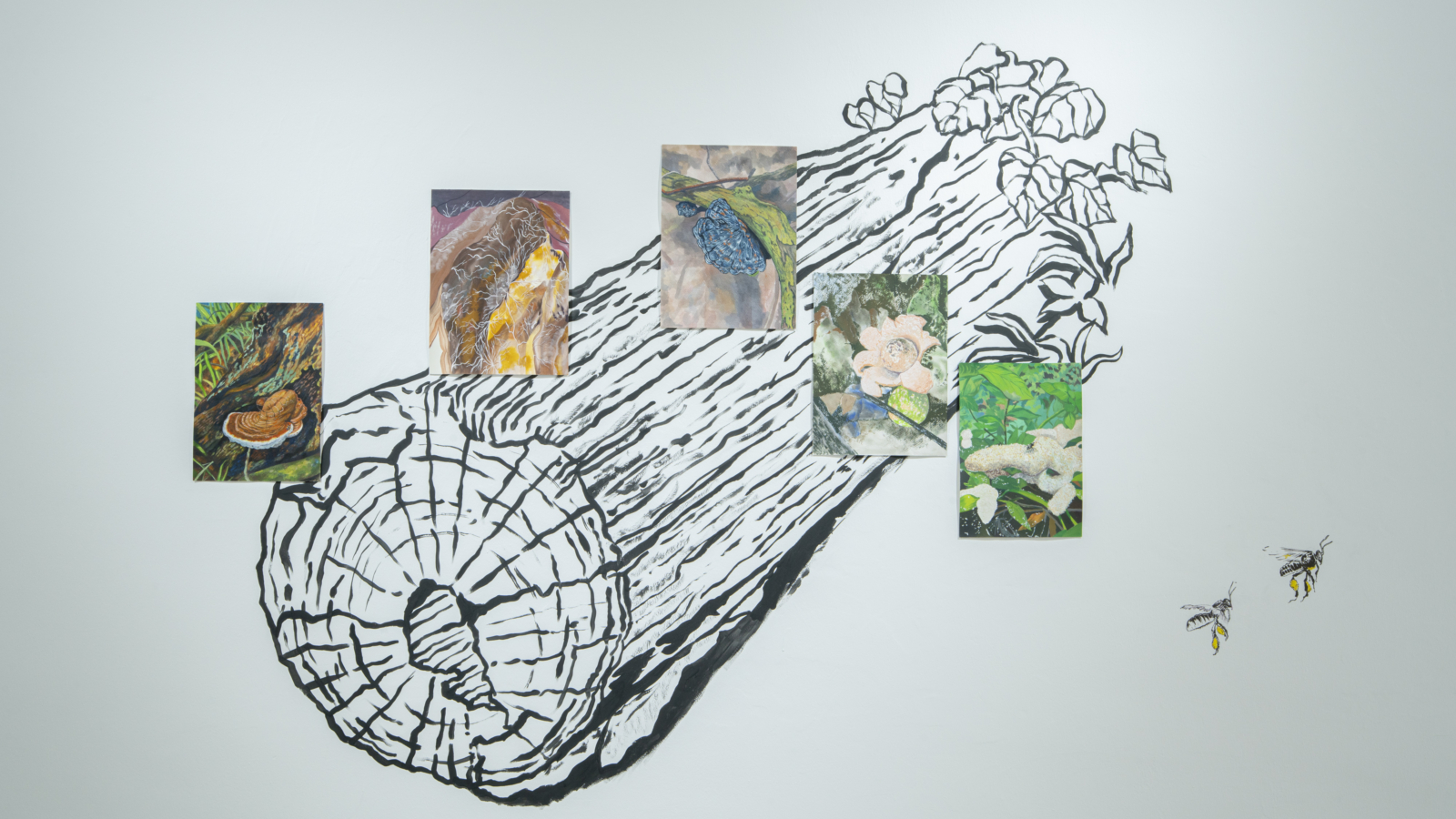 Installation_Fruiting Bodies-12