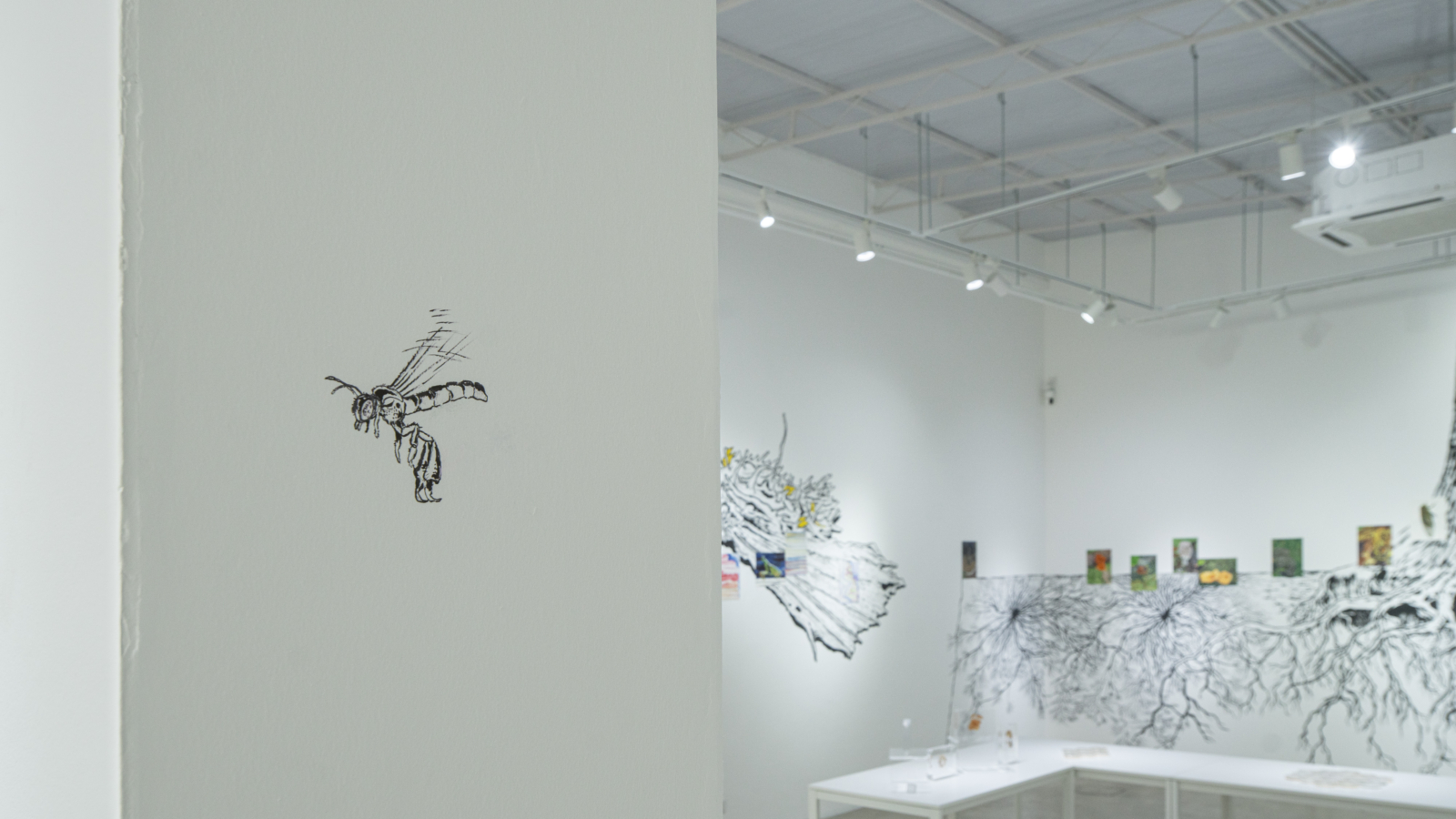 Installation_Fruiting Bodies-26